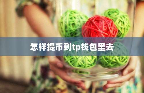 怎样提币到tp钱包里去