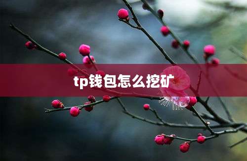 tp钱包怎么挖矿