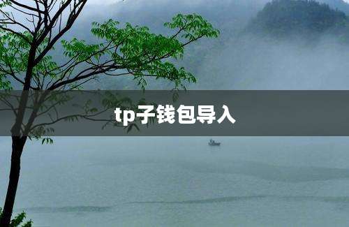 tp子钱包导入