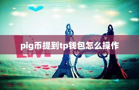 pig币提到tp钱包怎么操作