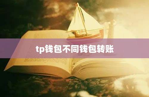 tp钱包不同钱包转账