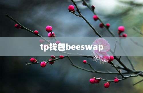 tp钱包beeswap