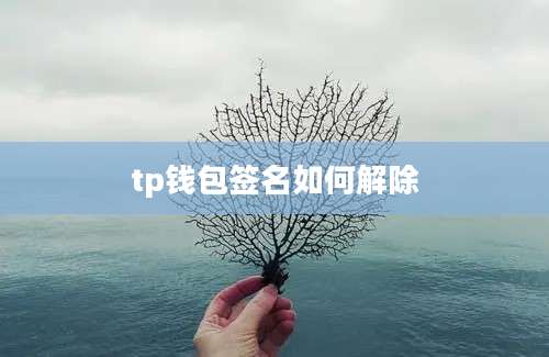 tp钱包签名如何解除
