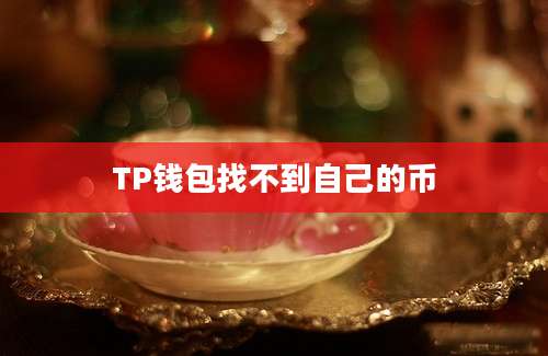 TP钱包找不到自己的币