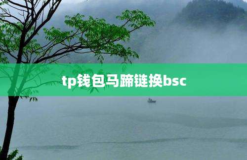 tp钱包马蹄链换bsc