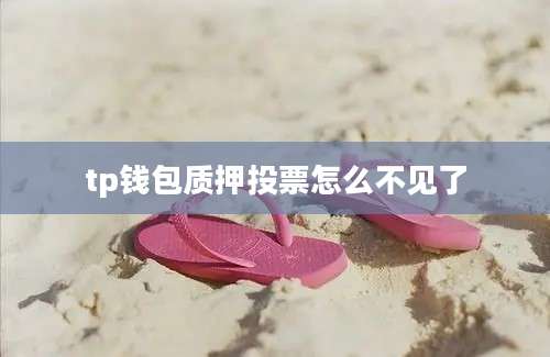 tp钱包质押投票怎么不见了