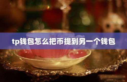 tp钱包怎么把币提到另一个钱包