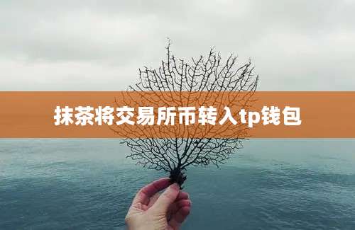 抹茶将交易所币转入tp钱包