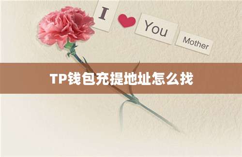 TP钱包充提地址怎么找