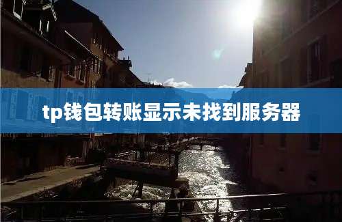 tp钱包转账显示未找到服务器
