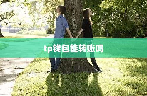 tp钱包能转账吗
