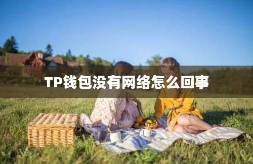 TP钱包没有网络怎么回事