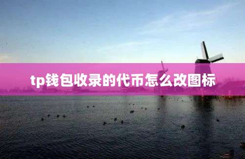tp钱包收录的代币怎么改图标