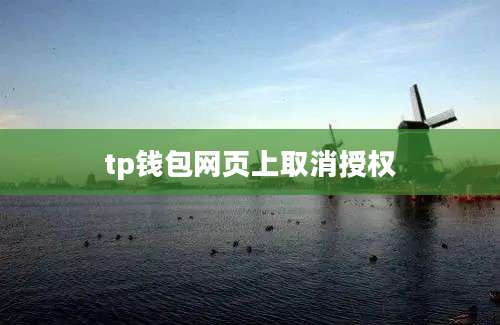 tp钱包网页上取消授权