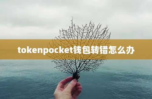 tokenpocket钱包转错怎么办