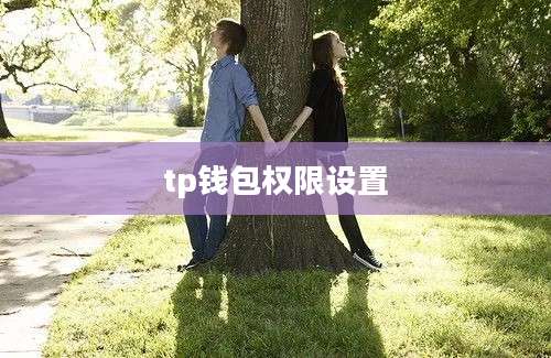 tp钱包权限设置