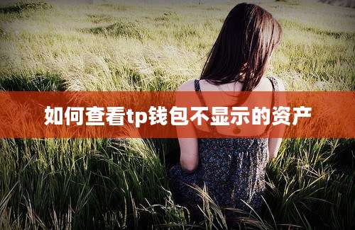 如何查看tp钱包不显示的资产