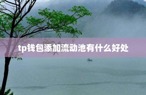 tp钱包添加流动池有什么好处