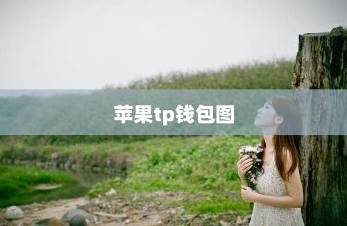 苹果tp钱包图