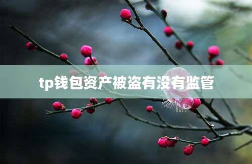 tp钱包资产被盗有没有监管