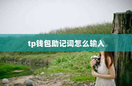 tp钱包助记词怎么输入