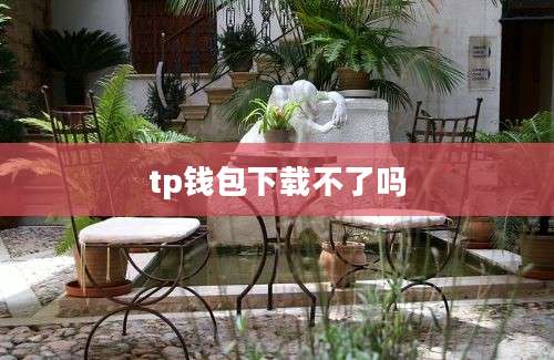 tp钱包下载不了吗