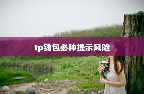 tp钱包必种提示风险