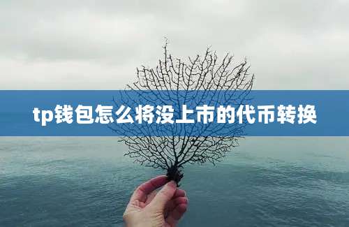 tp钱包怎么将没上市的代币转换