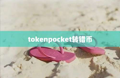 tokenpocket转错币