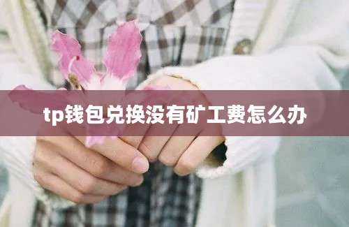 tp钱包兑换没有矿工费怎么办