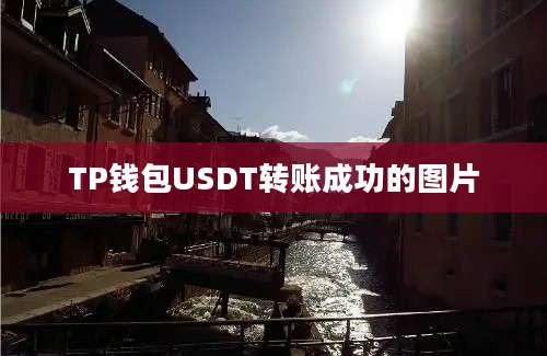TP钱包USDT转账成功的图片