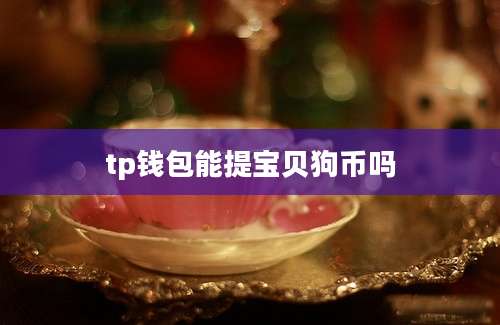 tp钱包能提宝贝狗币吗