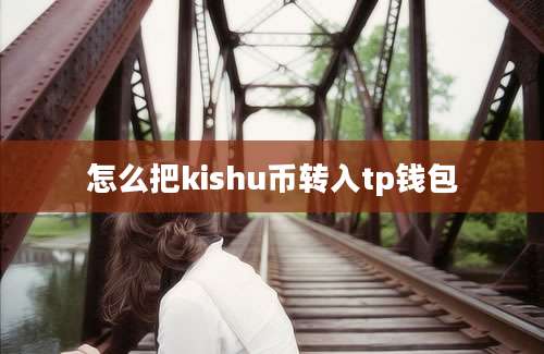 怎么把kishu币转入tp钱包