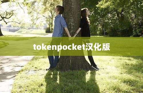tokenpocket汉化版