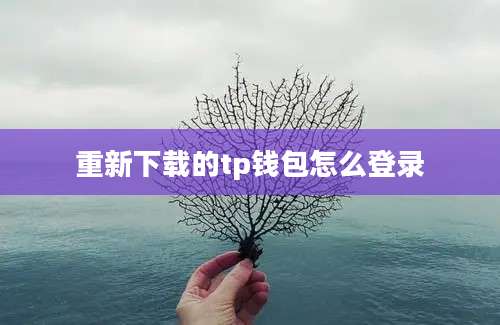 重新下载的tp钱包怎么登录