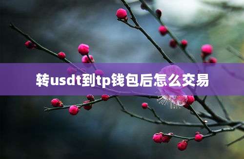 转usdt到tp钱包后怎么交易