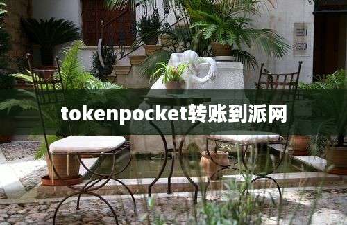 tokenpocket转账到派网