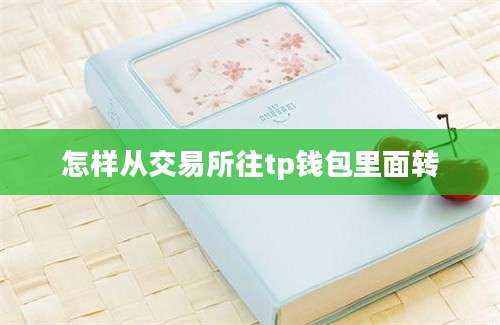 怎样从交易所往tp钱包里面转