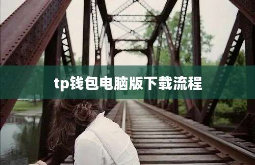 tp钱包电脑版下载流程