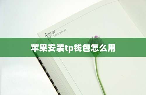 苹果安装tp钱包怎么用