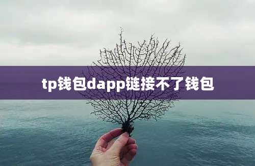 tp钱包dapp链接不了钱包