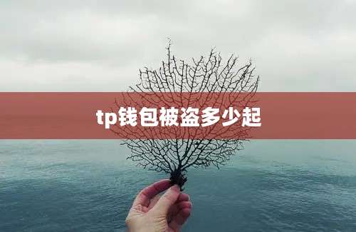 tp钱包被盗多少起