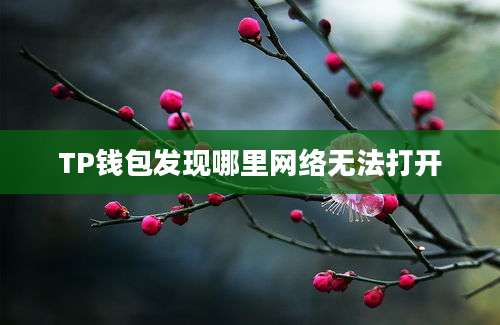 TP钱包发现哪里网络无法打开