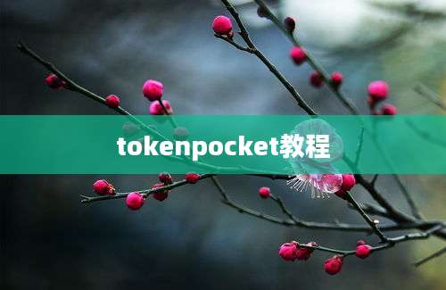 tokenpocket教程