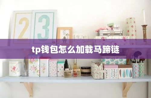 tp钱包怎么加载马蹄链