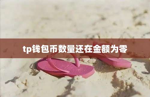 tp钱包币数量还在金额为零