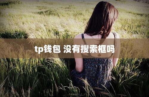 tp钱包 没有搜索框吗