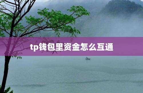tp钱包里资金怎么互通