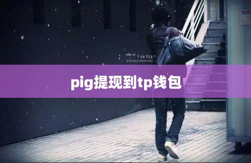 pig提现到tp钱包
