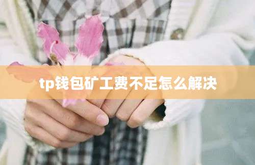 tp钱包矿工费不足怎么解决
